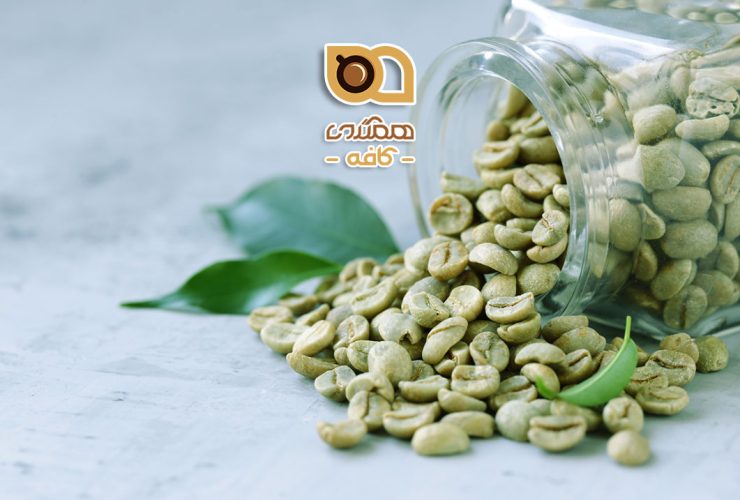 قهوه سبز پودر شده، ویژگی‌ها، مزایا و نحوه استفاده