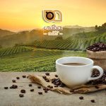 پایداری در صنعت قهوه، راهکاری برای آینده‌ای بهتر