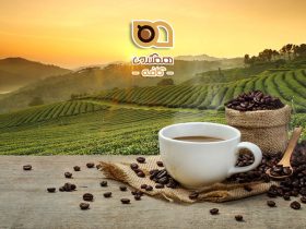 پایداری در صنعت قهوه، راهکاری برای آینده‌ای بهتر