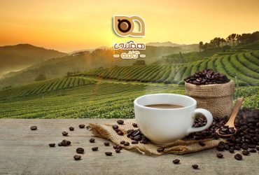 پایداری در صنعت قهوه، راهکاری برای آینده‌ای بهتر