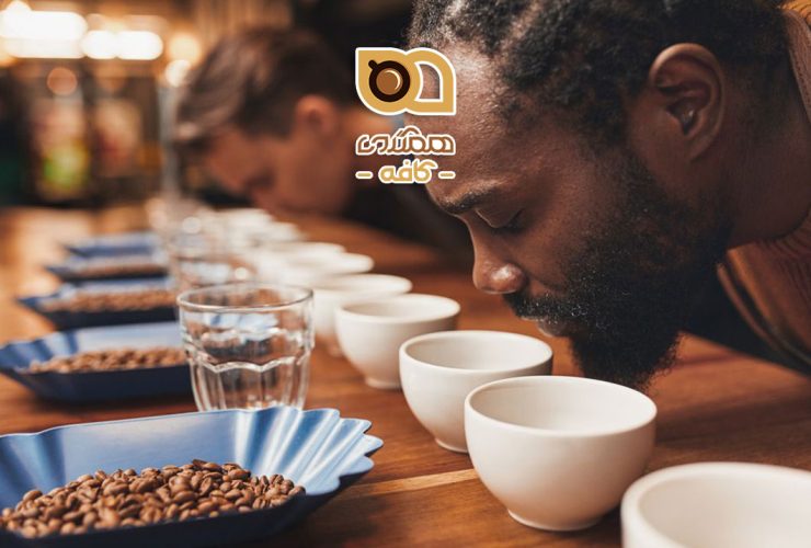 مزه دهی به قهوه، هنر و علم ترکیب طعم‌ها
