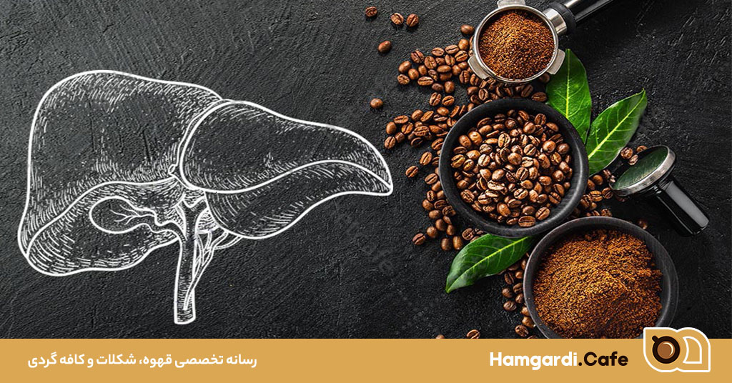 خواص قهوه برای کبد چرب: تاثیرات مثبت بر سلامت کبد