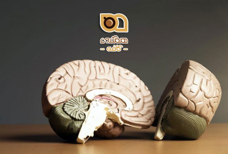 فواید قهوه برای مغز: چگونه این نوشیدنی محبوب می‌تواند عملکرد مغز را بهبود بخشد