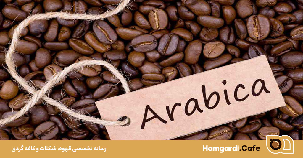 طعم قهوه عربیکا اصیل: یک تجربه ناب از دل طبیعت