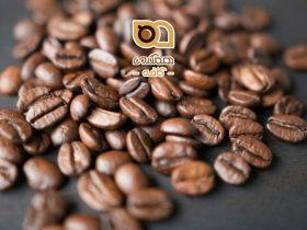 دمای مناسب آب برای دم آوری قهوه چقدر است؟